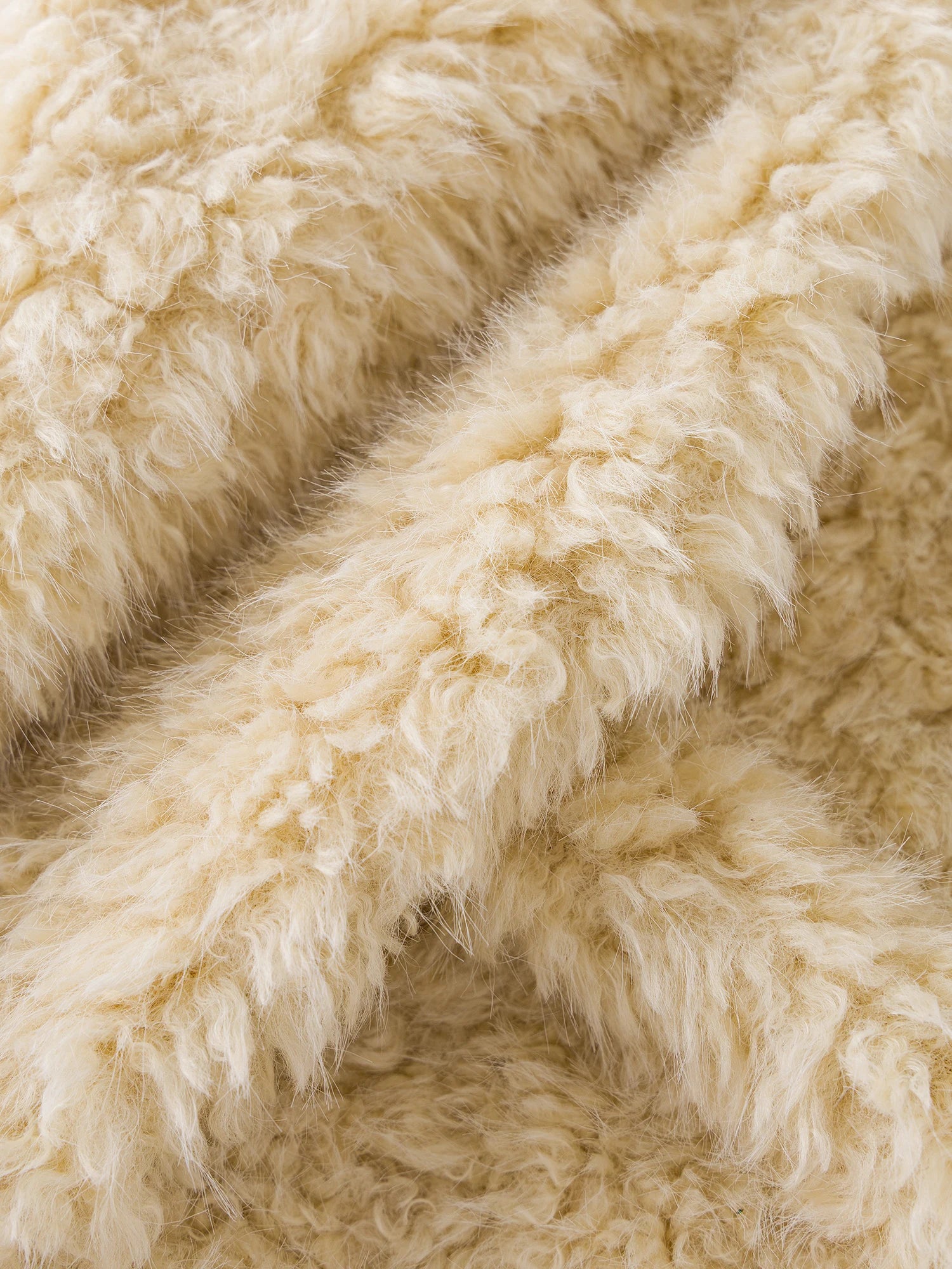 FSLE 2025 Women's Faux Fur Jacket Coat Winter Eco-Friendly Leather Look Collar Vintage Outerwear Warm Stand Cropped Teddy Jacket